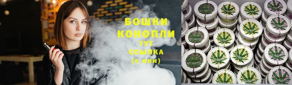 PSILOCYBIN Гусев