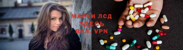 PSILOCYBIN Гусев