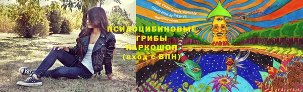 PSILOCYBIN Гусев