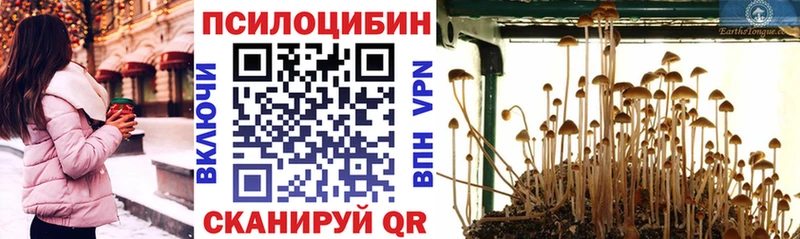Псилоцибиновые грибы прущие грибы  Купить  Видное 